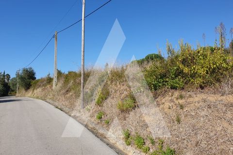 Grond in Batalha, Leiria, Batalha - € 15.000 | Ref: 1130343/20 LR - foto 2