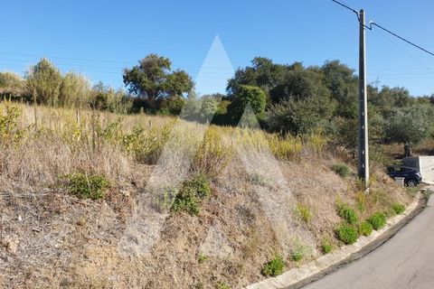 Grond in Batalha, Leiria, Batalha - € 15.000 | Ref: 1130343/20 LR - foto 4
