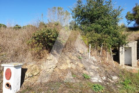 Grond in Batalha, Leiria, Batalha - € 15.000 | Ref: 1130343/20 LR - foto 5