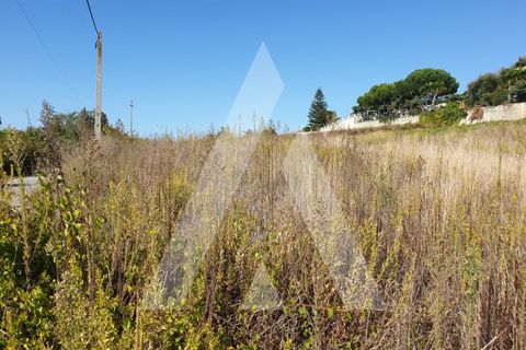 Grond in Batalha, Leiria, Batalha - € 15.000 | Ref: 1130343/20 LR - foto 7