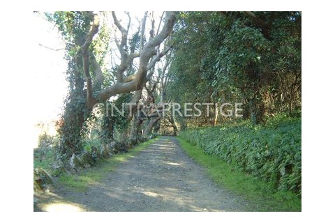Granja a Sintra, Lisbon, Sintra - € 7.400.000 | Ref: CP-196M - foto 12