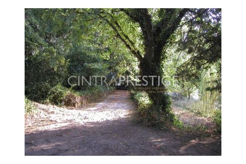 Granja a Sintra, Lisbon, Sintra - € 7.400.000 | Ref: CP-196M - foto 14