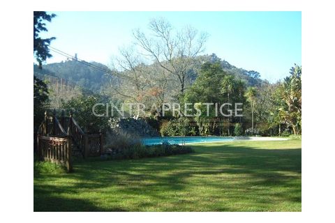 Granja a Sintra, Lisbon, Sintra - € 7.400.000 | Ref: CP-196M - foto 17