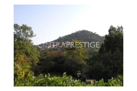Granja a Sintra, Lisbon, Sintra - € 7.400.000 | Ref: CP-196M - foto 22