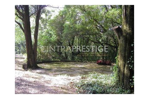 Granja a Sintra, Lisbon, Sintra - € 7.400.000 | Ref: CP-196M - foto 23
