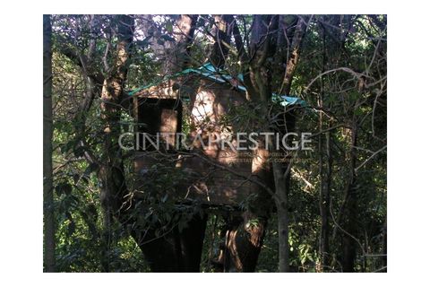 Granja a Sintra, Lisbon, Sintra - € 7.400.000 | Ref: CP-196M - foto 24