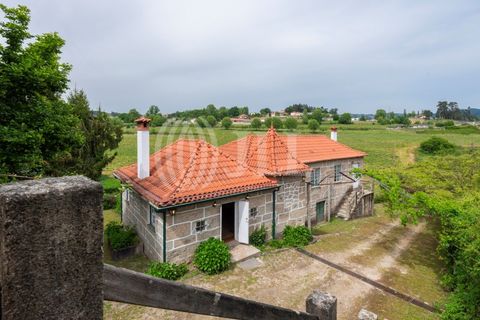Farm i Penafiel, Porto, Penafiel - € 895.000 | Ref: 96907 - foto 2