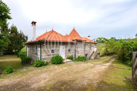 Farm i Penafiel, Porto, Penafiel - € 895.000 | Ref: 96907 - foto 3