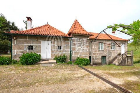 Farm i Penafiel, Porto, Penafiel - € 895.000 | Ref: 96907 - foto 4