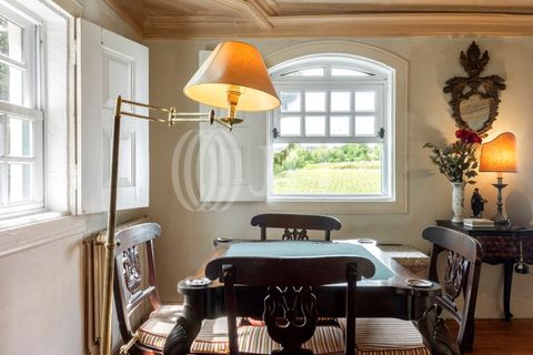 Farm i Penafiel, Porto, Penafiel - € 895.000 | Ref: 96907 - foto 8