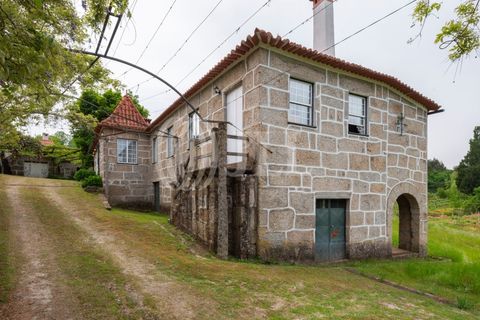 Farm i Penafiel, Porto, Penafiel - € 895.000 | Ref: 96907 - foto 24