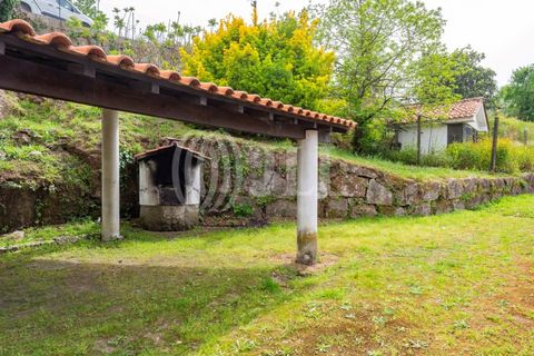 Farm i Penafiel, Porto, Penafiel - € 895.000 | Ref: 96907 - foto 25