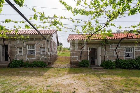Farm i Penafiel, Porto, Penafiel - € 895.000 | Ref: 96907 - foto 29