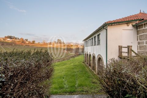 Farm i Penafiel, Porto, Penafiel - € 895.000 | Ref: 96907 - foto 30