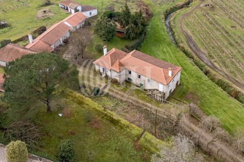 Farm i Penafiel, Porto, Penafiel - € 895.000 | Ref: 96907 - foto 36