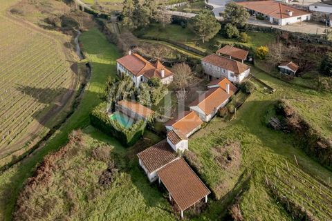 Farm i Penafiel, Porto, Penafiel - € 895.000 | Ref: 96907 - foto 37