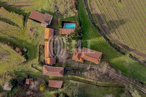 Farm i Penafiel, Porto, Penafiel - € 895.000 | Ref: 96907 - foto 38