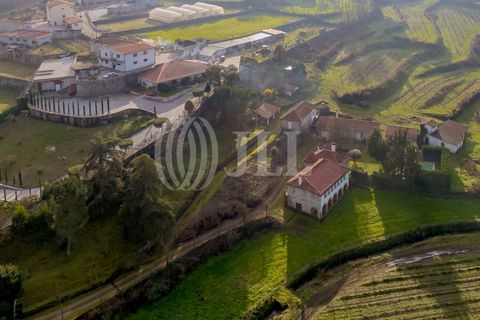 Farm i Penafiel, Porto, Penafiel - € 895.000 | Ref: 96907 - foto 39