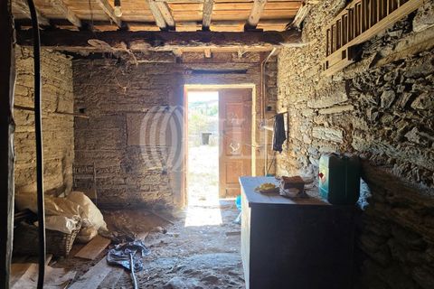 Villa a Castanheiro do Sul, Viseu, Castanheiro do Sul - € 160.000 | Ref: 98181 - foto 17