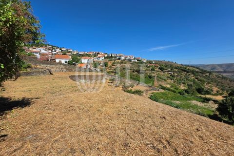 Villa a Castanheiro do Sul, Viseu, Castanheiro do Sul - € 160.000 | Ref: 98181 - foto 24