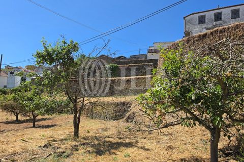 Villa a Castanheiro do Sul, Viseu, Castanheiro do Sul - € 160.000 | Ref: 98181 - foto 26