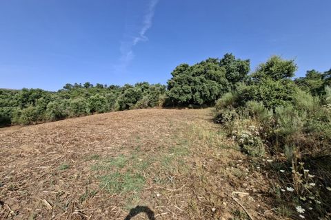 Helårsgrund i Fundao, Castelo Branco, Fundao - € 45.000 | Ref: W6436 - foto 4