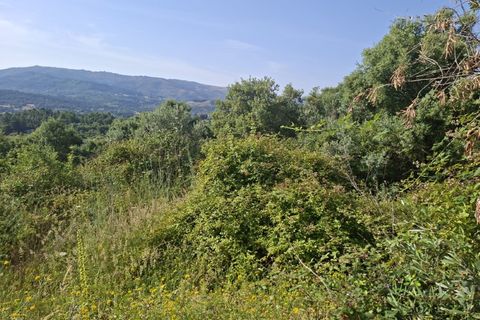 Helårsgrund i Fundao, Castelo Branco, Fundao - € 45.000 | Ref: W6436 - foto 5