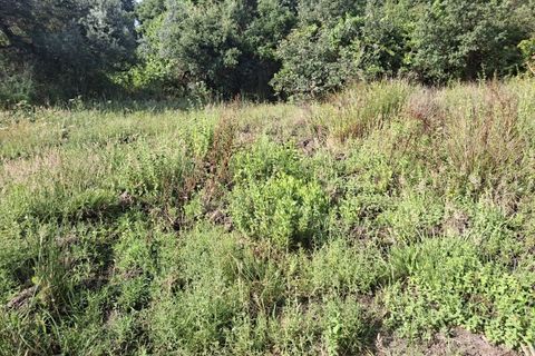 Helårsgrund i Fundao, Castelo Branco, Fundao - € 45.000 | Ref: W6436 - foto 7