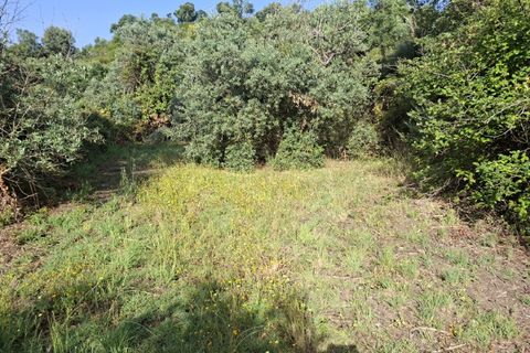 Helårsgrund i Fundao, Castelo Branco, Fundao - € 45.000 | Ref: W6436 - foto 8