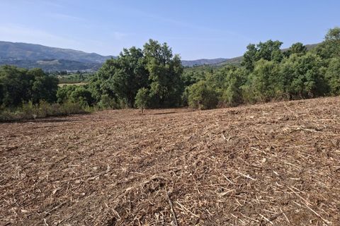 Helårsgrund i Fundao, Castelo Branco, Fundao - € 45.000 | Ref: W6436 - foto 10
