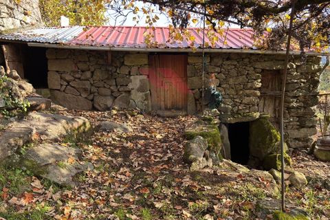 Ruinere i Arcos de Valdevez, Viana do Castelo, Arcos de Valdevez - € 56.500 | Ref: AVV-2501-MF-1125 - foto 4