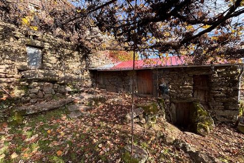 Ruinere i Arcos de Valdevez, Viana do Castelo, Arcos de Valdevez - € 56.500 | Ref: AVV-2501-MF-1125 - foto 5
