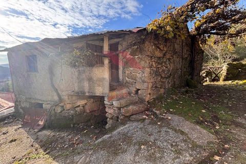 Ruinere i Arcos de Valdevez, Viana do Castelo, Arcos de Valdevez - € 56.500 | Ref: AVV-2501-MF-1125 - foto 6