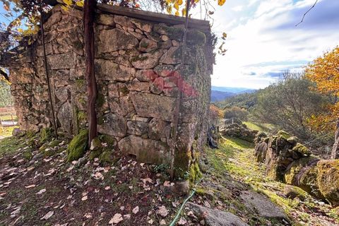 Ruinere i Arcos de Valdevez, Viana do Castelo, Arcos de Valdevez - € 56.500 | Ref: AVV-2501-MF-1125 - foto 8