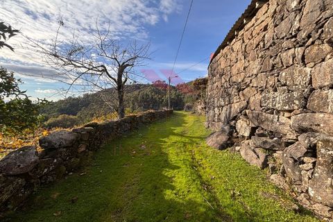 Ruinere i Arcos de Valdevez, Viana do Castelo, Arcos de Valdevez - € 56.500 | Ref: AVV-2501-MF-1125 - foto 9