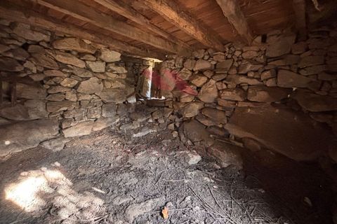 Ruinere i Arcos de Valdevez, Viana do Castelo, Arcos de Valdevez - € 56.500 | Ref: AVV-2501-MF-1125 - foto 10