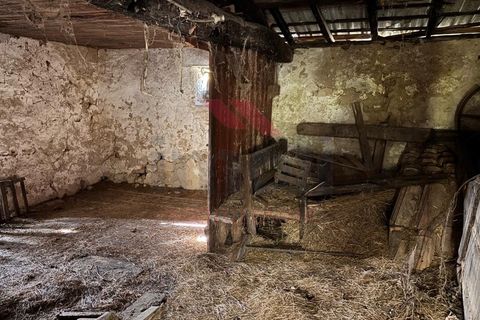 Ruinere i Arcos de Valdevez, Viana do Castelo, Arcos de Valdevez - € 56.500 | Ref: AVV-2501-MF-1125 - foto 14