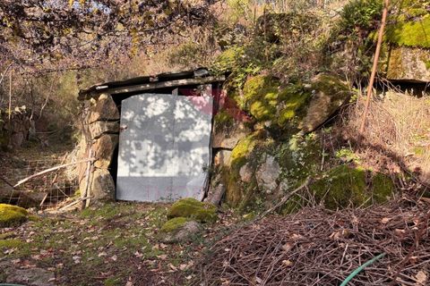 Ruinere i Arcos de Valdevez, Viana do Castelo, Arcos de Valdevez - € 56.500 | Ref: AVV-2501-MF-1125 - foto 18