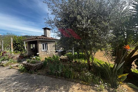 Villa i Arcos de Valdevez, Viana do Castelo, Arcos de Valdevez - € 559.000 | Ref: AVV-2405-CF-0425 - foto 48