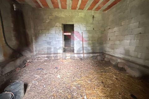 Villa i Arcos de Valdevez, Viana do Castelo, Arcos de Valdevez - € 57.000 | Ref: AVV-2335-MR-0824 - foto 10