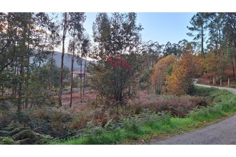 Tomt i Ponte de Lima, Viana do Castelo, Ponte de Lima - € 48 000 | Ref: PTL-1248-RA-1125 - foto 3