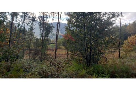 Tomt i Ponte de Lima, Viana do Castelo, Ponte de Lima - € 48 000 | Ref: PTL-1248-RA-1125 - foto 6