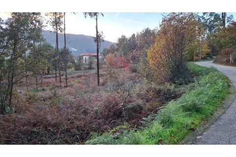 Tomt i Ponte de Lima, Viana do Castelo, Ponte de Lima - € 48 000 | Ref: PTL-1248-RA-1125 - foto 10