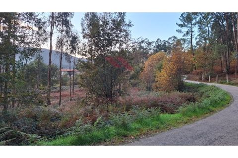 Tomt i Ponte de Lima, Viana do Castelo, Ponte de Lima - € 48 000 | Ref: PTL-1248-RA-1125 - foto 11