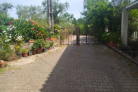 Farm i Fundao, Castelo Branco, Fundao - € 425.000 | Ref: W6399 - foto 2