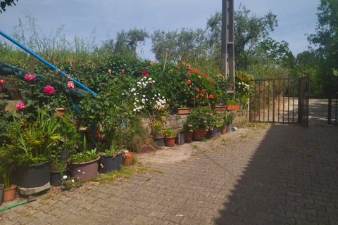 Farm i Fundao, Castelo Branco, Fundao - € 425.000 | Ref: W6399 - foto 5
