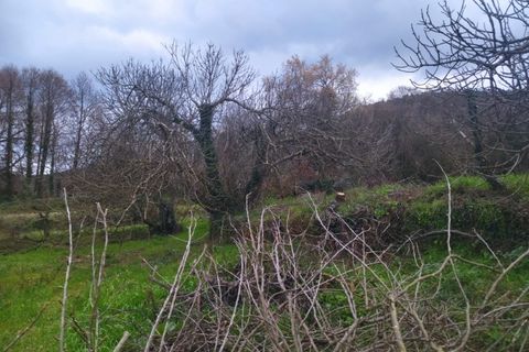 Farm i Fundao, Castelo Branco, Fundao - € 425.000 | Ref: W6399 - foto 9