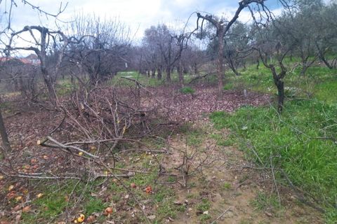 Farm i Fundao, Castelo Branco, Fundao - € 425.000 | Ref: W6399 - foto 10