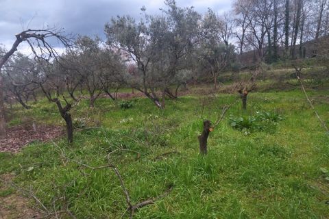Farm i Fundao, Castelo Branco, Fundao - € 425.000 | Ref: W6399 - foto 12