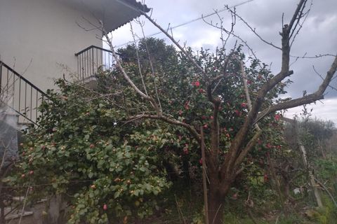 Farm i Fundao, Castelo Branco, Fundao - € 425.000 | Ref: W6399 - foto 17